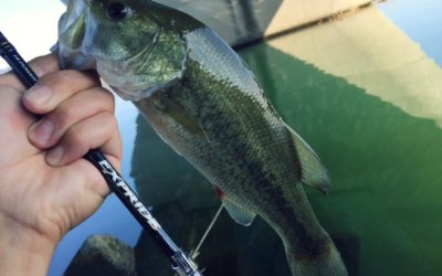 パターンフィッシングを学ぼう！田辺哲男『Bassing Pattern Book