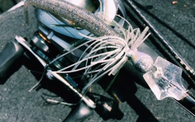 パターンフィッシングを学ぼう！田辺哲男『Bassing Pattern Book