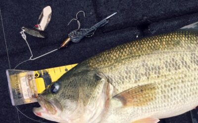 パターンフィッシングを学ぼう！田辺哲男『Bassing Pattern Book