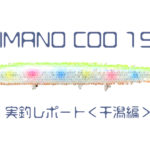 【クー 190f】SHIMANO COO 190F 干潟でシーバス連発！！