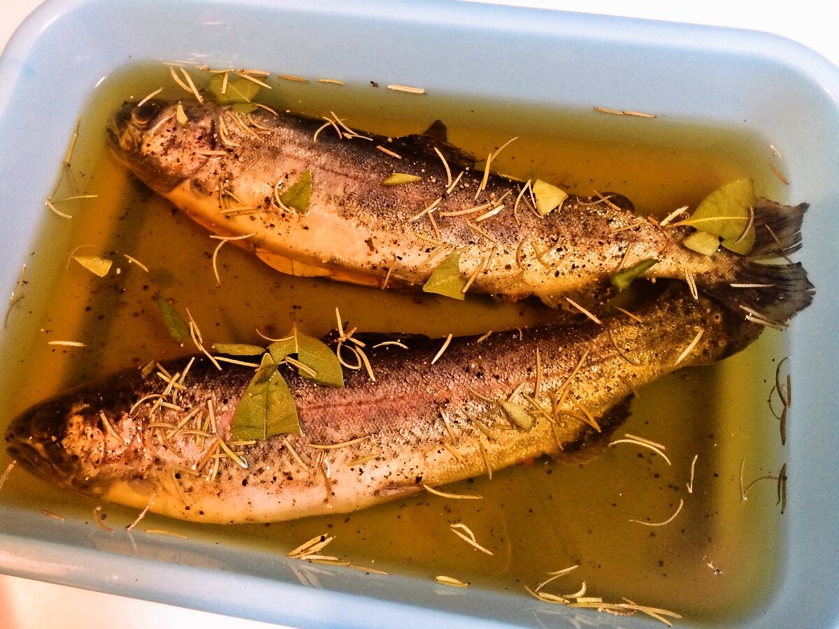 ジョイクロで釣り納めのはずが九重フィッシングリゾートでエリアトラウトに 居酒屋村上