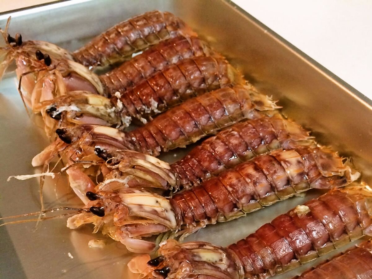 福岡の伊崎漁港で水揚げされた食材を使って魔法の粉を作りました 居酒屋村上