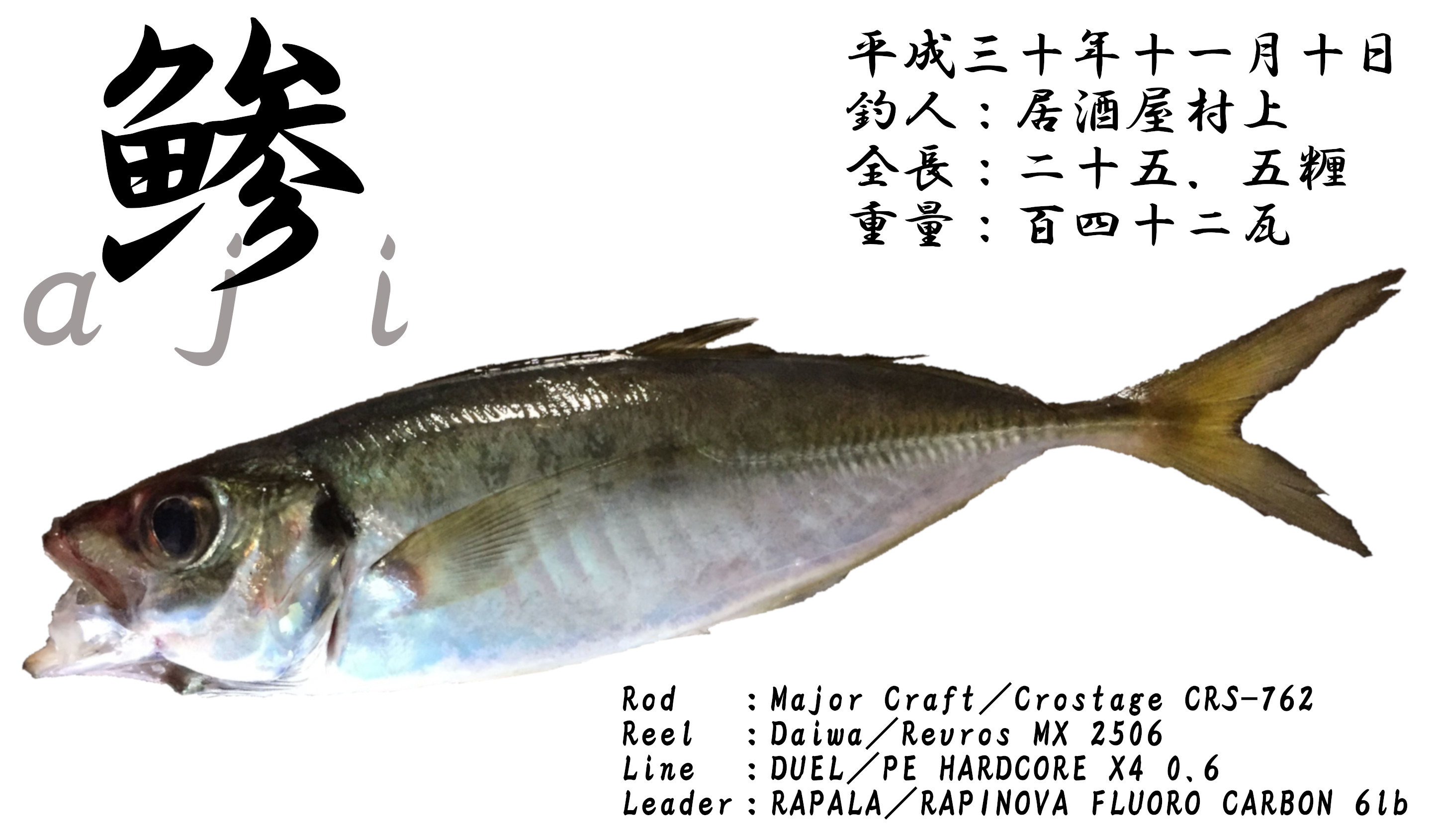デジタル魚拓を無料で作成 フリーソフトを活用してメモリアルフィッシュの魚拓を自作する方法の紹介 Sotoshiru ソトシル