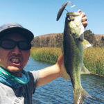 【アメリカでバス釣り】サンディエゴのOtay Lake（オタイ・レイク)で弁慶の釣りが炸裂！