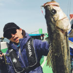 【爆釣】世界一の魚影!? これが東京湾シーバスジギングのトップシーズンなのか！